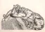 Vente par "Biarritz enchères SVV" du 05/08/2023 - Deux Tigres au repos. 1931. (05/08/2023) (lot n°35)